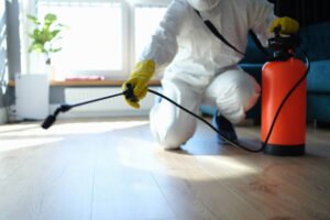 Clarksville Pest Control Pros