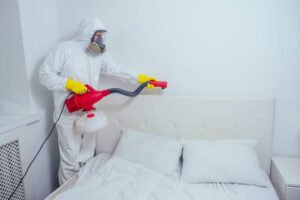 Clarksville Pest Control Pros