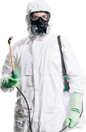 bed bugs exterminators clarksville tn