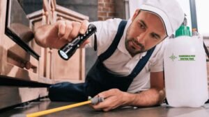 Pest Control in Clarksville tn