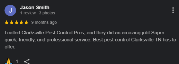 Clarksville Pest Control Pros